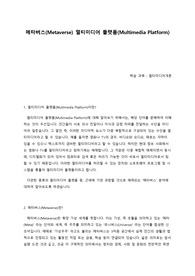 메타버스(Metaverse) 멀티미디어 플랫폼(Multimedia Platform)