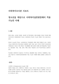 사회복지조사론 리포트-청소년을 대상으로 사회복지실천현장에서 적용 가능한 사례