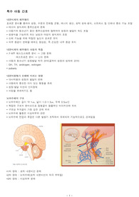 춘해 4학년 특수 아동간호 시험 총정리본입니다. 감사합니다.