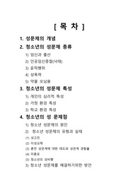 A+) 성과건강 청소년의 성문제 레포트