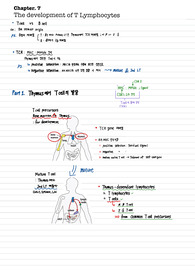 면역학 7단원 필기(immune system parham 4th)