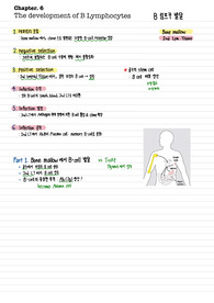 면역학 6단원 필기(immune system parham 4th)