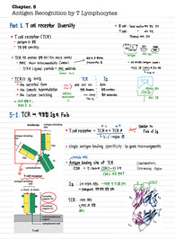 면역학 5단원 필기(immune system parham 4th)