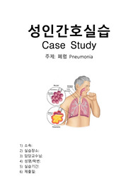 폐렴 (Pneumonia) 케이스스터디 (간호진단 5개, 간호과정 3개)