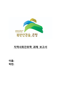 [A+ 지역사회간호과정] 은평구 지역사회 간호과정
