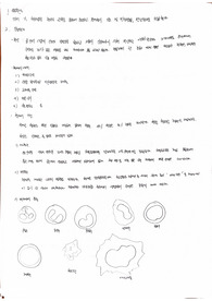 아주대학교 생물학 실험 혈구관찰과 혈액형 분석