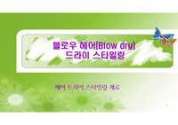 2 온라인수업적용가능 블로우드라이 헤어 스타일링  디자인
