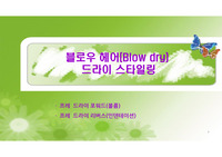4 온라인 수업 적용가능 블로우 드라이 헤어 스타일링 포워드리버스