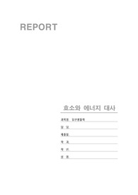 일반생물학 레포트 - 효소와 에너지대사
