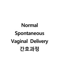 NSVD 간호과정(간호진단 5개, 간호과정2개)
