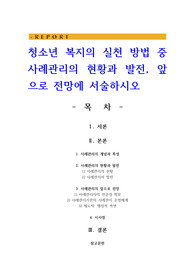 청소년 복지의 실천 방법 중 사례관리의 현황과 발전, 앞으로 전망에 서술