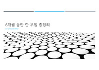 6개월 동안 한 부업 총정리