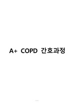 A+ 받은 COPD 간호과정