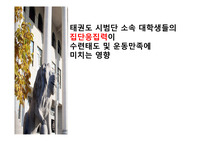 스포츠심리학 태권도 시범단 소속 대학생들의  집단응집력이 수련태도 및 운동만족에  미치는 영향