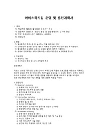 아이스하키팀 운영 및 훈련계획서