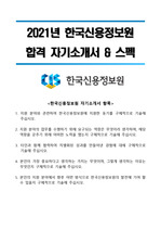 2021년 한국신용정보원(5급 일반직) 합격 자기소개서, 스펙