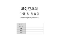 모성간호실습케이스_질탈출증A+간호진단/간호과정/느낀점