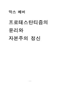 프로테스탄티즘의윤리와 자본주의 정신 발췌 및 문제 제기
