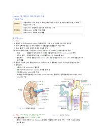 성인간호 필기정리(요로계)