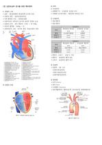 임상병리학-심장초음파