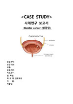 [A+받은 성인간호실습] 방광암 Bladder Cancer 케이스스터디 (수술부위와 관련된 급성통증, 유치도뇨관 삽입과 관련한 감염위험성, 수술로 인한 기동성 저하와 관련된 낙상위험성)