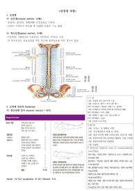 간호사 신경계 사정법