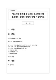 청소년의 문제를 중심으로 청소년복지의 필요성과 국가의 책임에 대해 서술