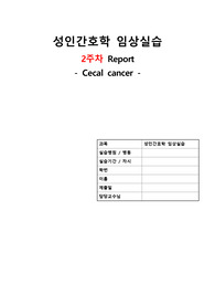 간호학과 성인간호학 cecal cancer 간호진단(4) 간호과정(4)