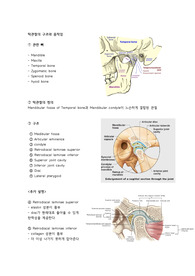 물리치료 기능해부학 정리 (턱관절의 구조와 움직임)