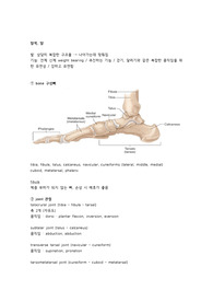 기능해부학 정리 (발)