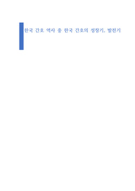 한국 간호의 역사 중 한국 간호의 성장기, 발전기