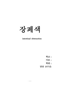 성인간호 케이스 스터디 장폐색 간호진단