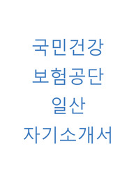 국민건강보험공단(일산) 자기소개서