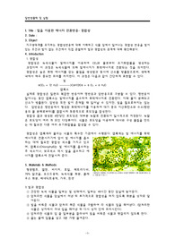 일생실 빛과 광합성 레포트
