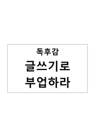 글쓰기로 부업하라 독후감 독서감상문