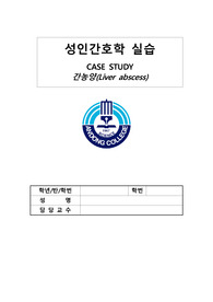 [성인간호학실습] 간농양 대상자 - 염증 반응과 관련된 고체온, 변화된 환경(병원생활)에 대한 부적응과 관련된 비효과적 건강관리