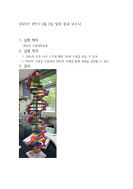 시립대학교 이중나선모형 결과레포트 생물학및실험 9주차 결과보고서
