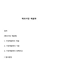 해외시장 세분화