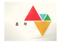반응현상실험 흡착 PPT