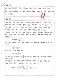 [(A+)성균관대-일반물리학실험1] Borda 진자를 이용한 중력가속도 측정 실험 리포트