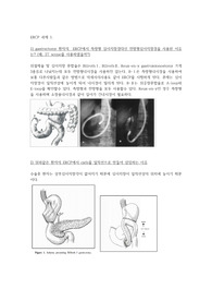 내시경실 간호사 ERCP 에 대하여 (과제)