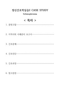 정신간호학 조현병 CASESTUDY, 간호진단 4개, 간호과정 1개(폭력위험성)