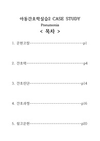 아동간호학 폐렴 CASESTUDY, 간호진단 5개, 간호과정 2개(비효과적 기도청결, 아동 낙상의 위험)
