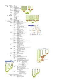 계통수 (phylogenetic tree) 총 정리
