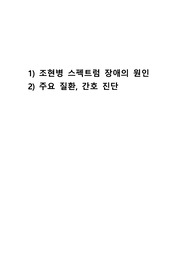 조현병 스펙트럼 장애의 원인 주요질환 간호진단