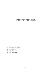 선행조직자에 대한 레포트