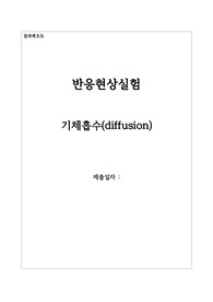 기액확산(Diffusion) 결과레포트
