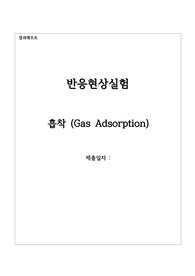 흡착 결과레포트
