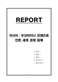 러시아,우크라이나 전쟁으로 인한 세계 경제 침체