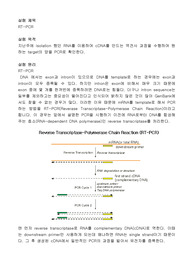 RT-PCR - 예비실험보고서